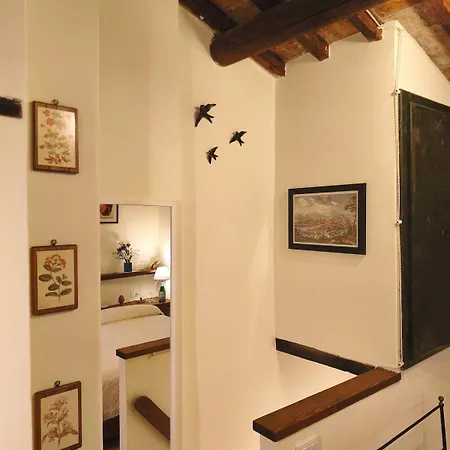 Torre Di Caposelvi モンテヴァルキ
